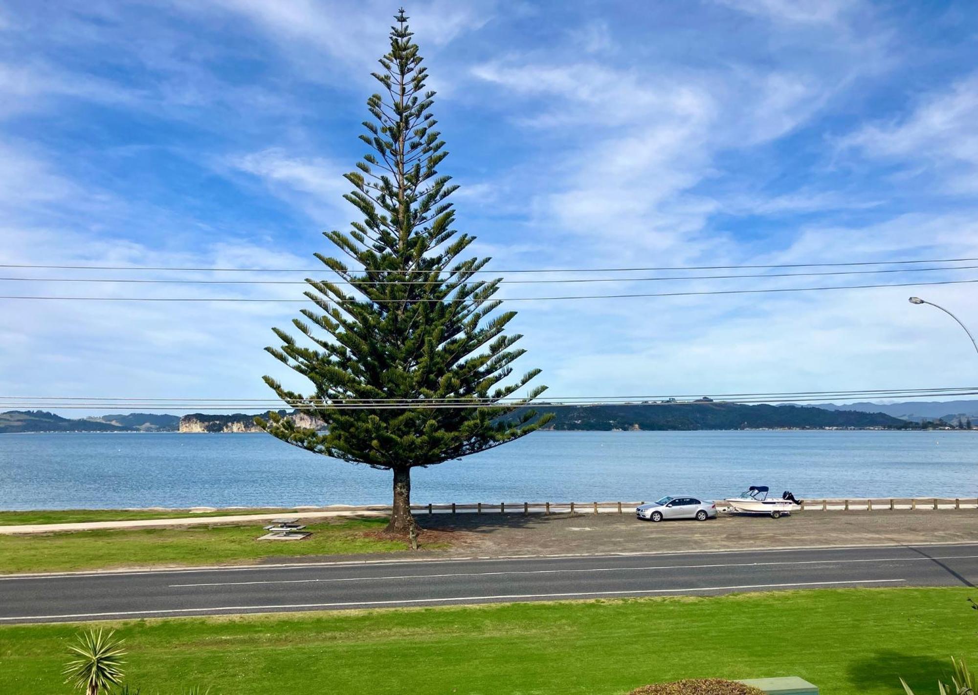Whitigetaway Sanctuary Soleil Apartment Whitianga Ngoại thất bức ảnh